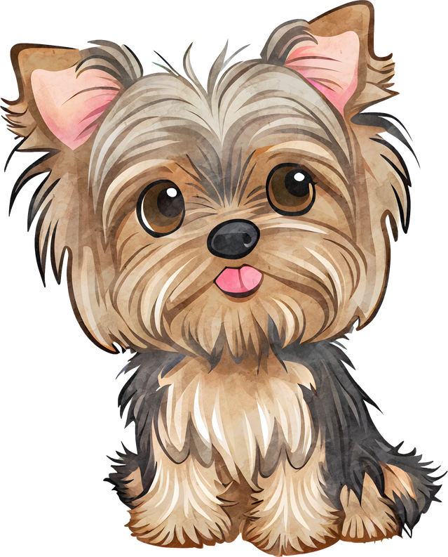Yorkshire Terrier Dog